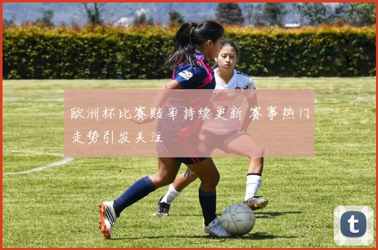 欧洲杯比赛赔率持续更新 赛事热门走势引发关注
