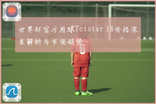 世界杯官方用球Telstar 18价格深度解析与市场趋势