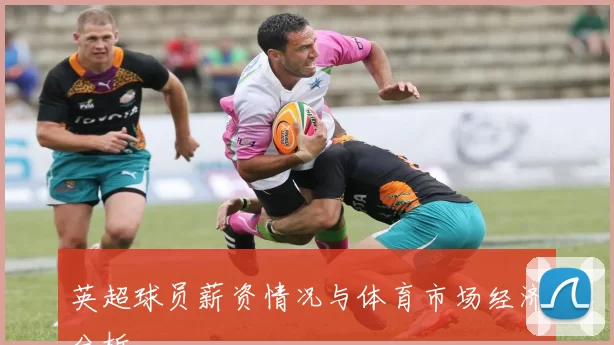 英超球员薪资情况与体育市场经济分析