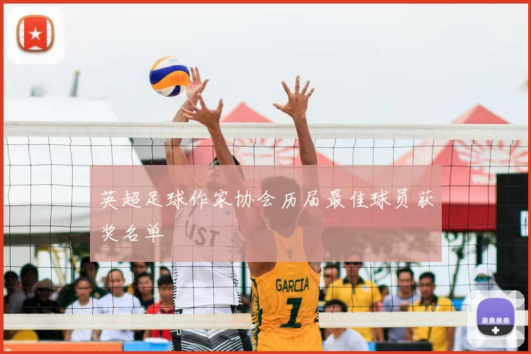 英超足球作家协会历届最佳球员获奖名单