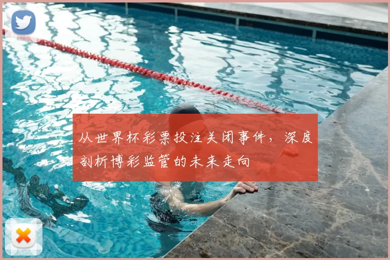从世界杯彩票投注关闭事件，深度剖析博彩监管的未来走向