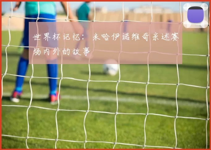 世界杯记忆:米哈伊诺维奇亲述赛场内外的故事
