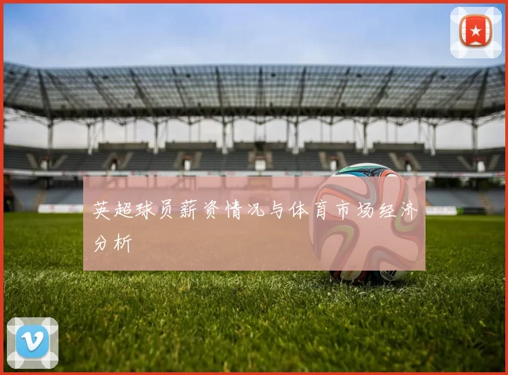 英超球员薪资情况与体育市场经济分析