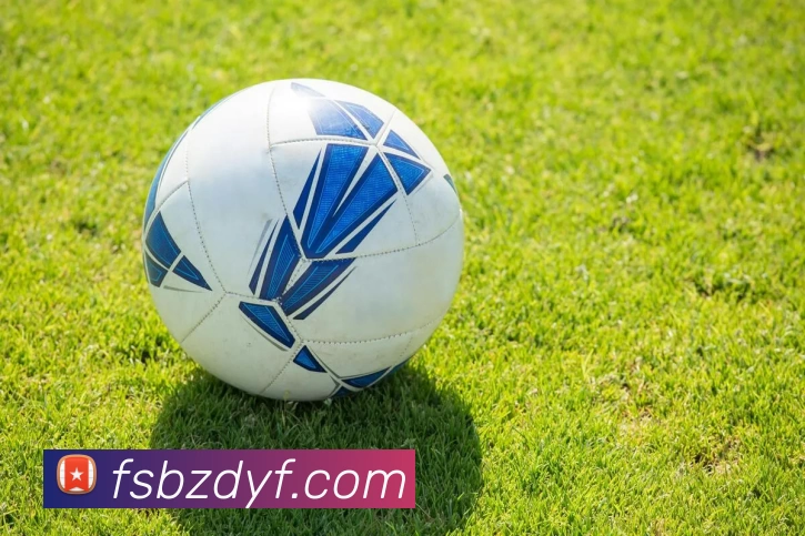 ag真人平台生态图